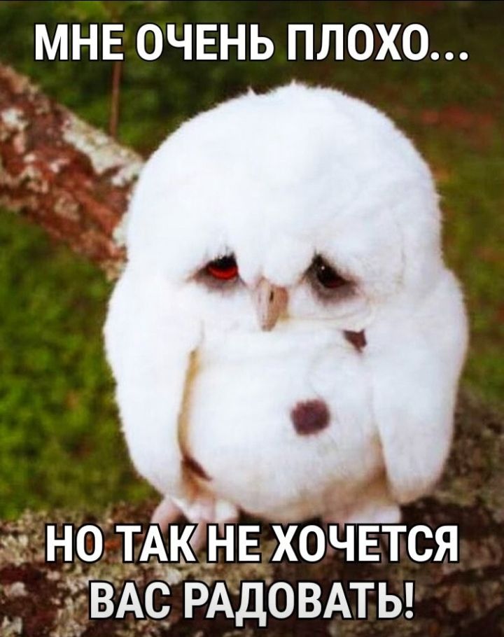 МНЕ ОЧЕНЬ ПЛОХО нощк НЕ хопіЁтся ЁВАС РАДОВАТЬ