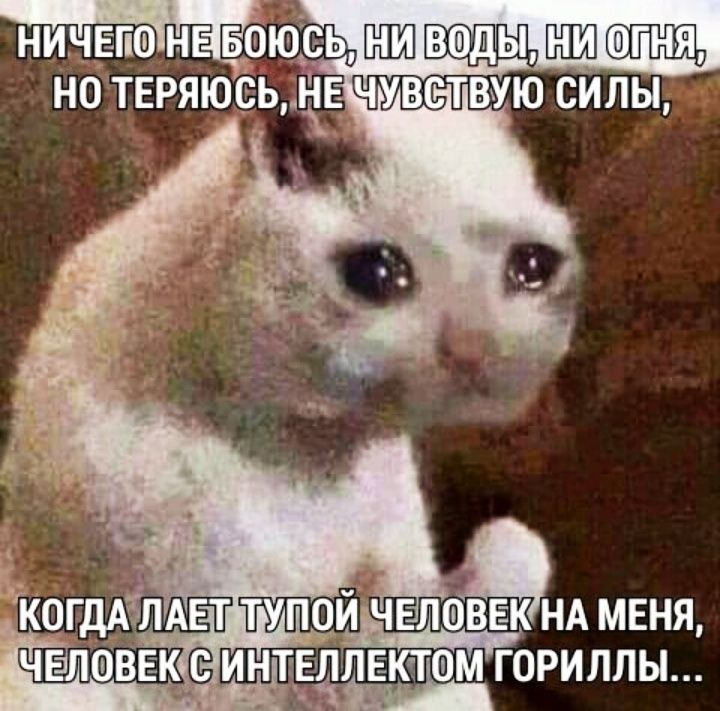 НИЧ ЕПФН ЕЧБЭОЮСЬ 8 Ш НО ТЕРЯЮСЬ Е__ЧУВСТВУЮ СИЛЫ когдддлдвт тупой чвлацвьгк НА меня чвлаввсё интылгктшм гориллы