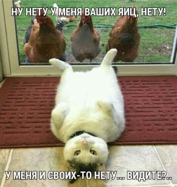 1 г1 __ ЦНУ НЕТУЧ ЕНЯВАШИХЯ _ всвИХ то нать видит