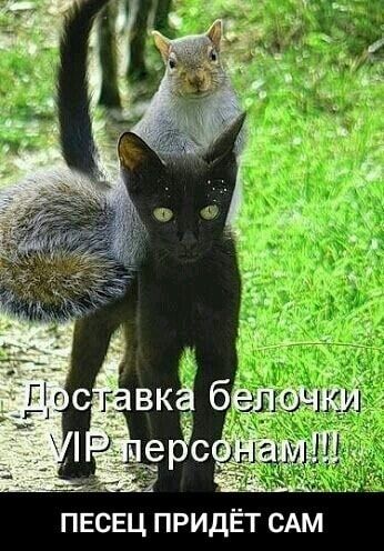 ПЕСЕЦ придЁт САМ