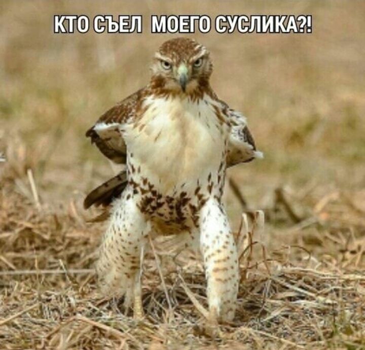 Осъезл мвёг0