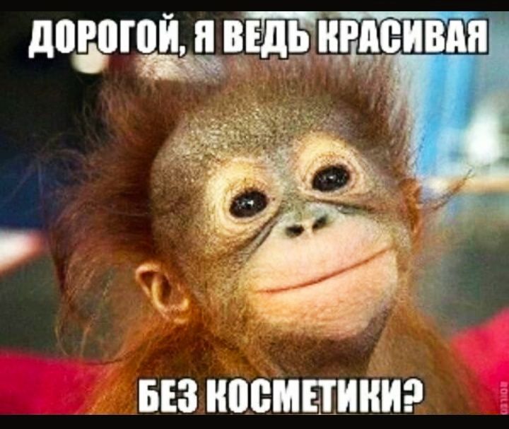 БЕЗ НПВМПИНИ