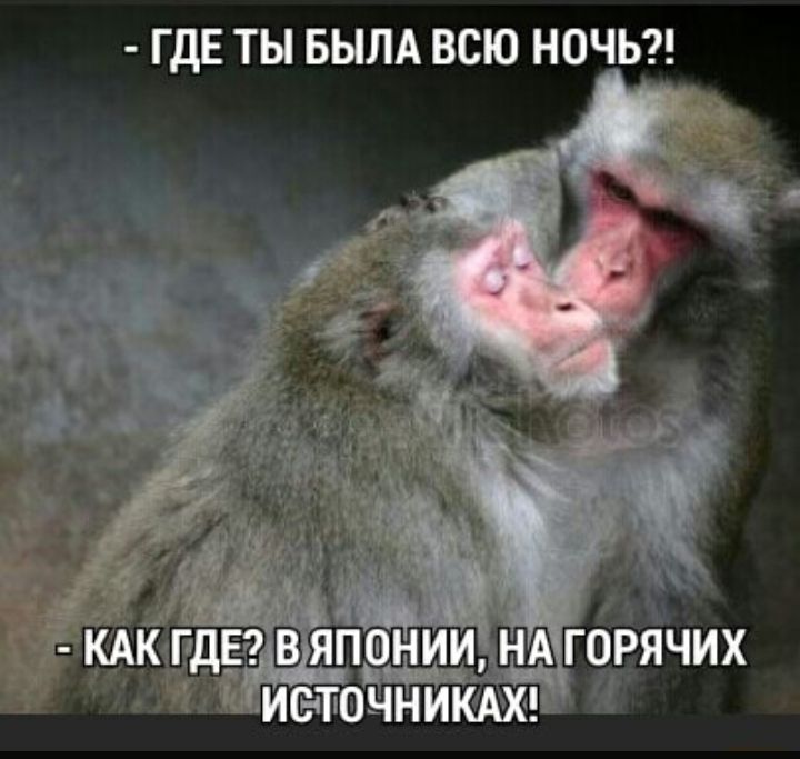 ГДЕ ТЫ БЫЛА ВСЮ НОЧЬ