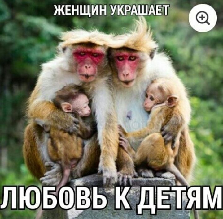 женщин УКРКЁЙАЁТ _ А 2