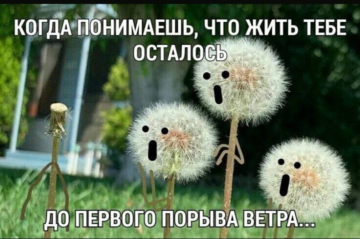 каГДАёыЁЁИМАЕшц что жить ТЕБЕ остмо вь