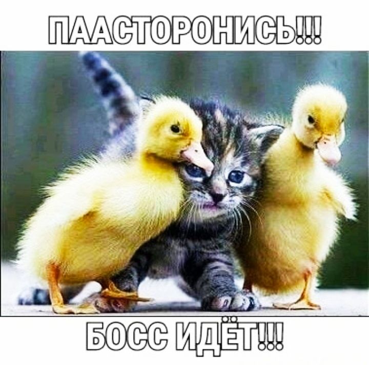 Мстюршниеы иш