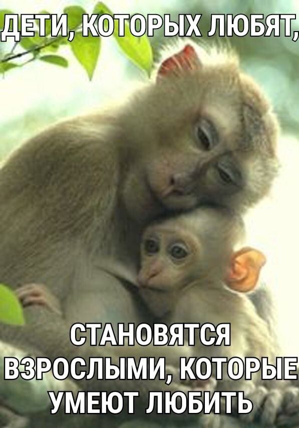 СТАновятся Ъщслымик кот ФЁЫЕ умвют лювить