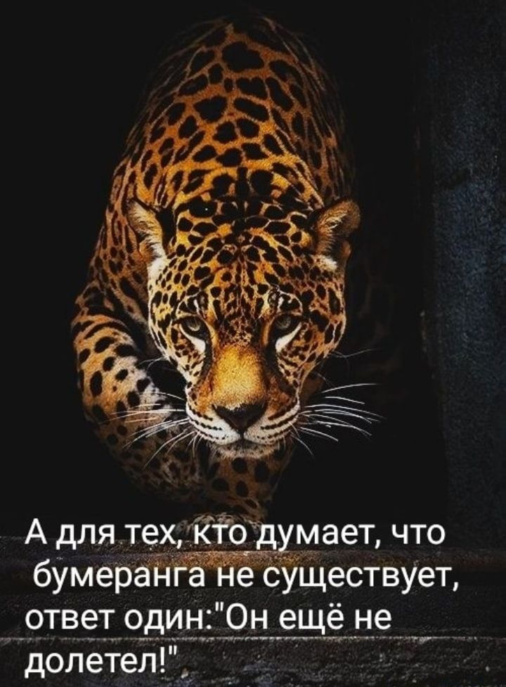Адля тех КЁОд мает что е УЩествует ___9твет один Он ещё не _ _______ _г долетел_