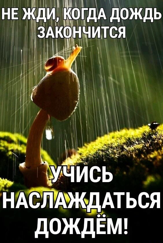 _ НАЁЙАЖДАТЬСЯ дОЖдЁМ