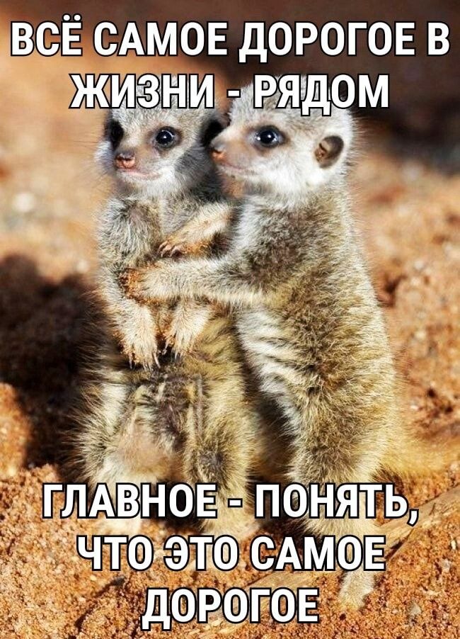 ВФ Ё САМОЕ ДОРОГОЕ В