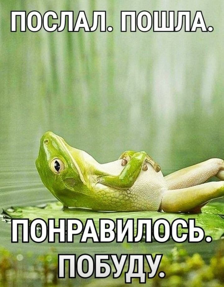 пюслдл шм
