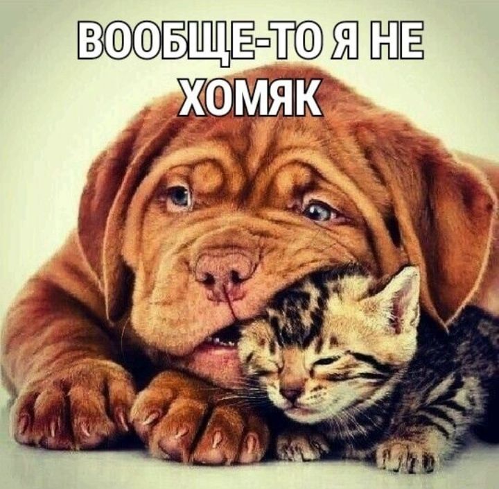 ВООБЩЕшЁ ЕЁ ЁЁ