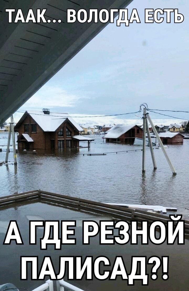 ТААК ВОЛОГДА ПАЛИСАД