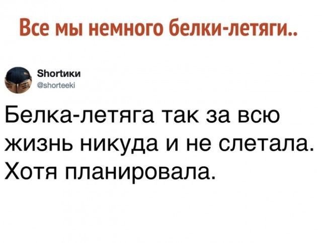 Все МЫ НЕМНОГО белки летят 55 Белка петяга так за всю жизнь никуда и не слетала Хотя планировала