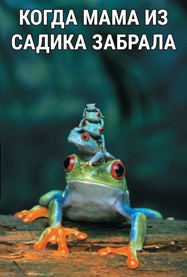 когдА МАМА из САДИКА ЗАБРАЛА