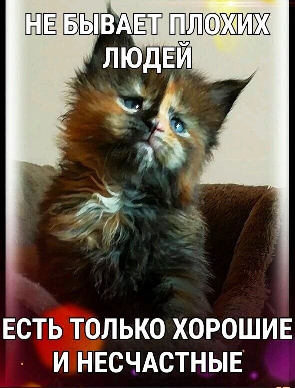 ЕСТЬ ТОЛЬКО ХОРОШИЕ И НЕСЧАСТНЫЕ _