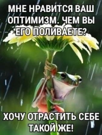 МНЕ НРАВИТСЯ ВАШ 0ПТИМИ3М ЧЕМ ВЫ ПФЛИВАЕТБ _ хочу отрдстить сев тАкоЩжв