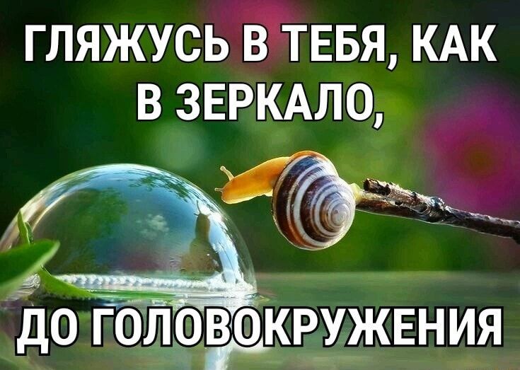 ГЛЯЖУСЬ ЁТЕБЯ КАК В ЗЕРКАЛО до годрэцкружвния