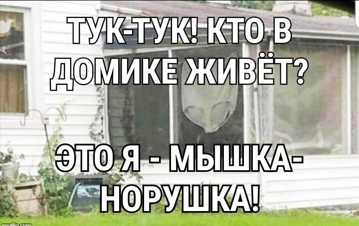 микв ВЕТ