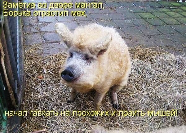 2305 лрасг