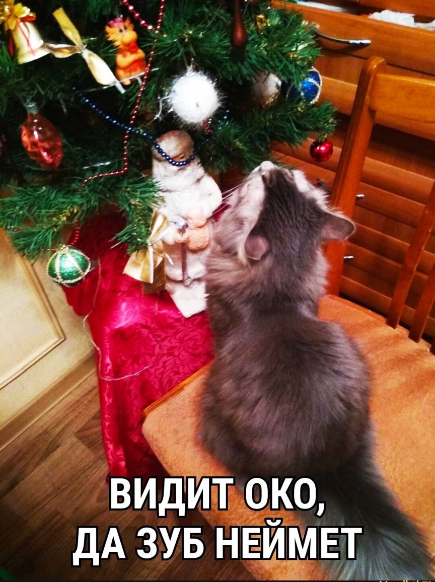 ВИДИБ ОКО АЧЬ ДА ЗУБ НЁЁЁДЕЪ