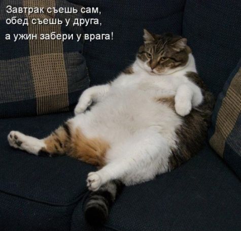 завтЁЁЁёЁешь сам обед ЁЁёшь у друга а ужин забери у врага