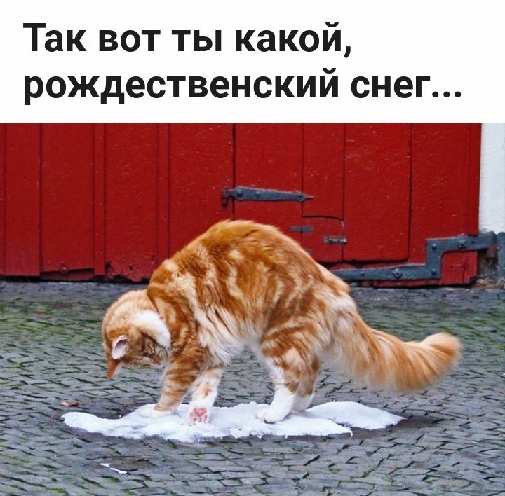 Так вот ты какой рождественский снег