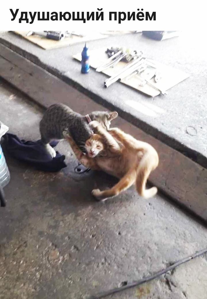 Удушающий приём
