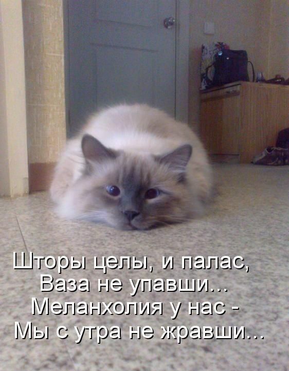 Ваза інеупііз ди М дл ігыол А у г1 1 Мы угры н 3ір1_пг