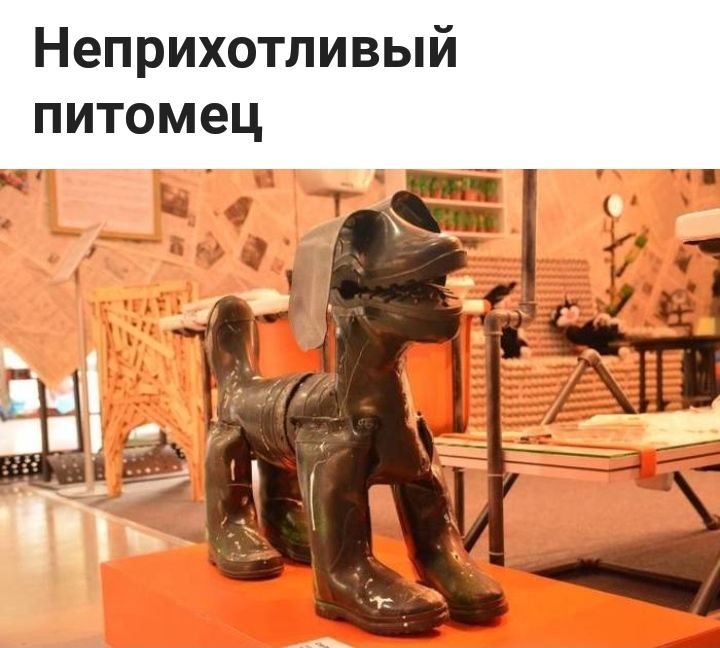 Неприхотливый питомец ч 5 Ні
