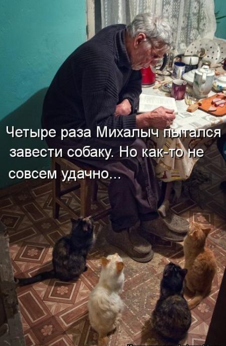 Четыре раза Михацыч завести собаку Но как 5 е СОВСЕМ удачно