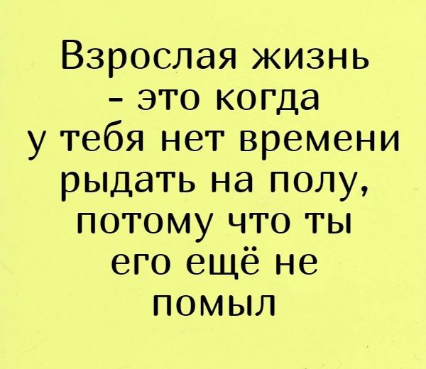 Взрослая жизнь это когда у тебя нет времени рыдать на полу потому что ты его ещё не помыл