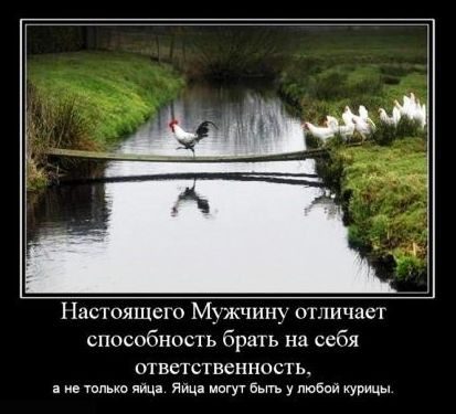 Настоящего Мужчину огличаег способность брать на себя ответственность е чипы лица яиц мцгут Быть у тебя кум