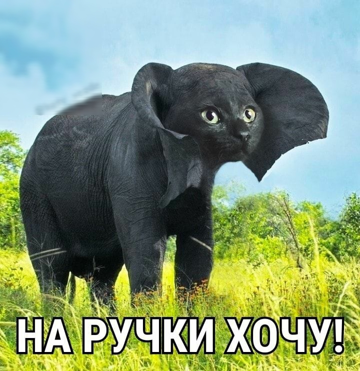 __ НА РУЧКИ ХОЧУ11