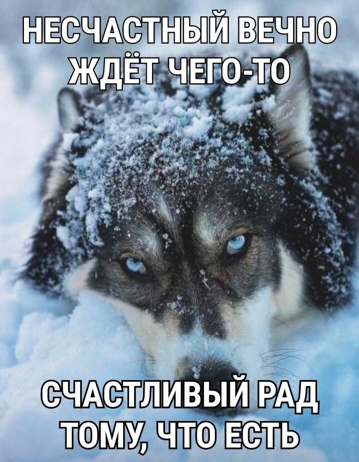 ЁПЁЫЁВ ВНЕЧ лиёый таму ЕСТЬ