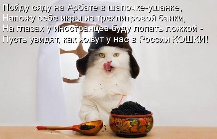 Пойду сяду На Арба ге а шагючкэ ушинкв Напиши себе ик из трехпитрозой банки На гг у у г у лопать ложкой Г усть увидят а России КОШКИ