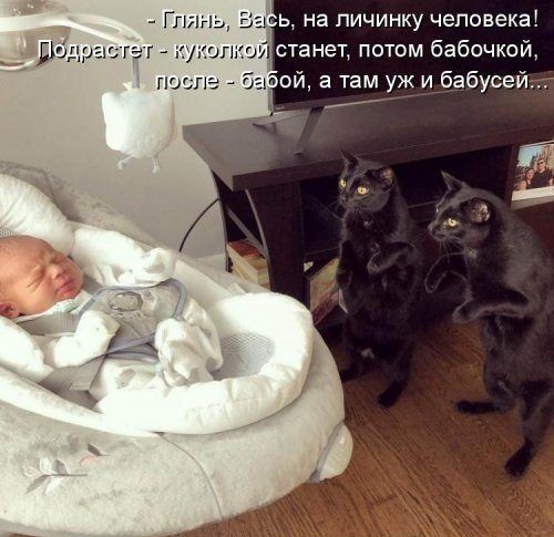 Глянь Бэ Ь на личинку человека _ _ Дъщрешгаг попкой станет потом бабочкой поспг 6470 а там уж иібабусей