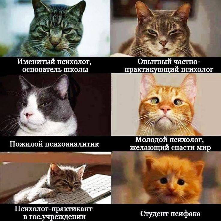 Именитый психолог основатель ШКОЛЫ Молодой психолог ПОЖИЛОИ психоаналитик желавший СПаСГП МИР Психолог практикинт в госучреждении Студент псифака