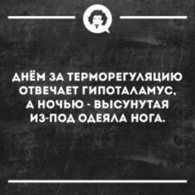 _Ф АНЁМ ЗА ТЕРНОРЕГУАПЦИЮ ОТВЕЧАЕТ ГИПОТАААМУС А НОЧЬЮ ВЫСУНУТАЯ ИЗ ПОА ОАЕЯМ НОГА