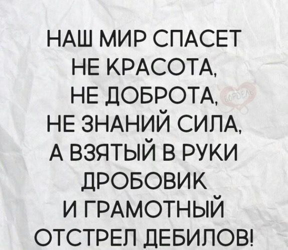 НАШ мир СПАСЕТ НЕ КРАСОТА НЕ ДОБРОТА НЕ ЗНАНИЙ СИЛА А взятый в руки ДРОБОВИК и ГРАМОТНЫЙ ОТСТРЕП ДЕБИПОВ