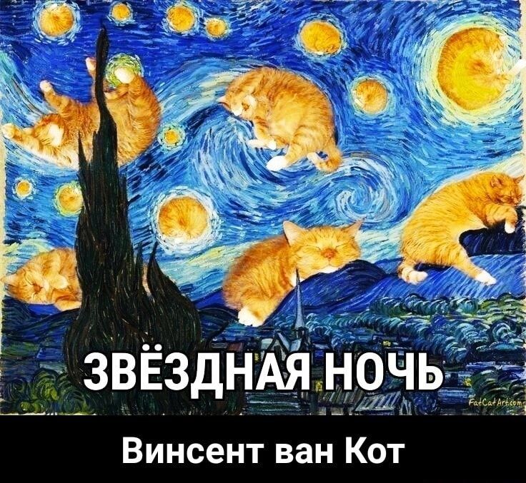 чд ЗВЕЗДНАЯН0ЧЬ 71 Винсент ван Кот