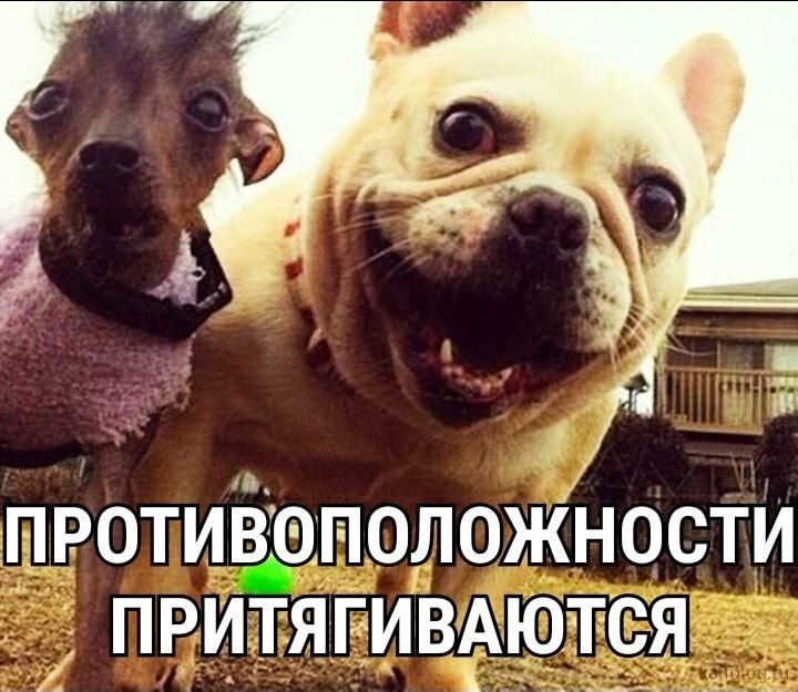 противеположности притяги _