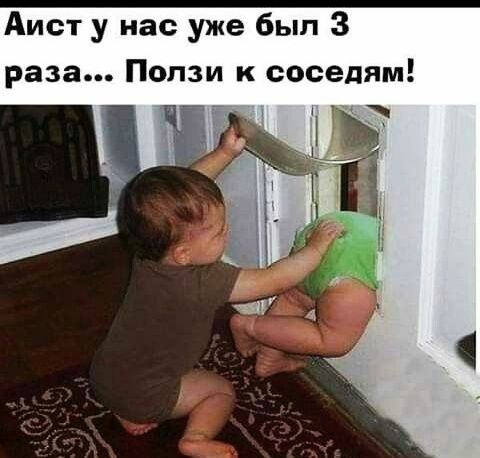 Аист у нас уже был 3 раза Попзи к соседям