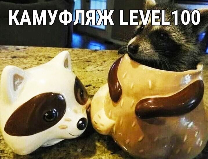 КАМУФЬпяж ЕАЕ100 __і