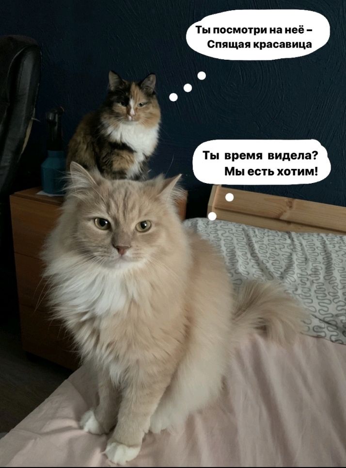 Ты посмотри на неё Спящая красавица Ты время видела Мы есть хотим