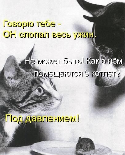 Гозорю габа ОН попал ь