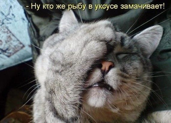 Ну кто же оыб9 в уЁксусе заманивает