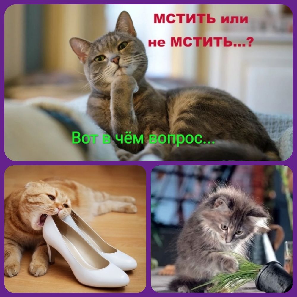 МСТИ Ь или