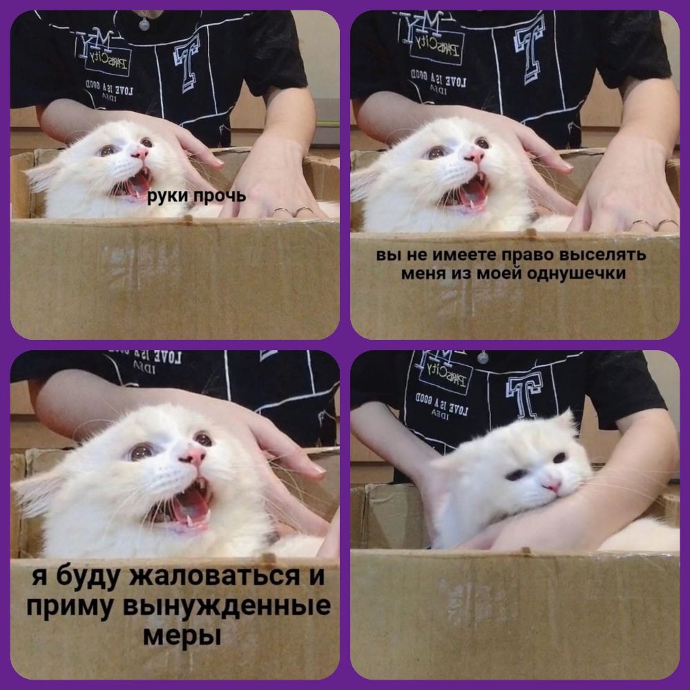 руки прочь вы не имеете право выселять меня из моей ОдНУшечки шч Ё А я буду жаловаться и приму вынужденные меры