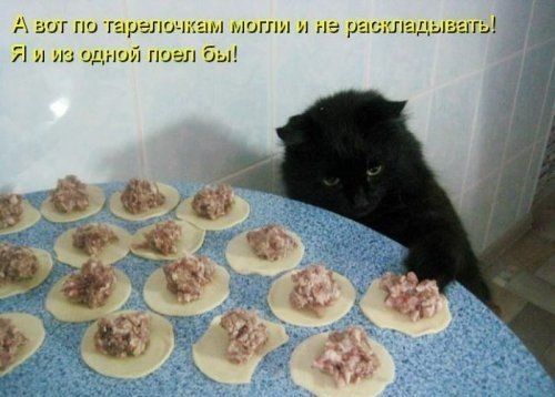 ног тг тип и на решти Я и и идиш поел бы